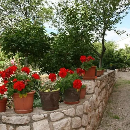 Apartman Marine Apps